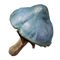 Everkin Fatekeeper item icon