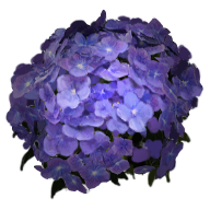 Blue Dogbane Fatekeeper item icon