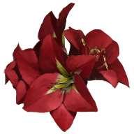 Crimson Wardbloom Fatekeeper item icon