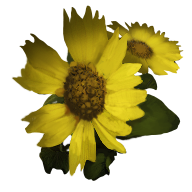 Goldenglow Fatekeeper item icon