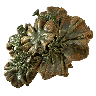 Bog Lichen Fatekeeper item icon