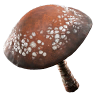 Magister's Hat Fatekeeper item icon