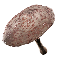 MushroomCA Fatekeeper item icon