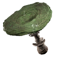 Green Acrimonling Fatekeeper item icon